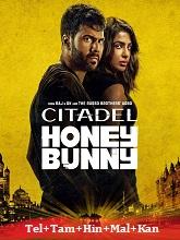 Citadel: Honey Bunny Seaosn 1